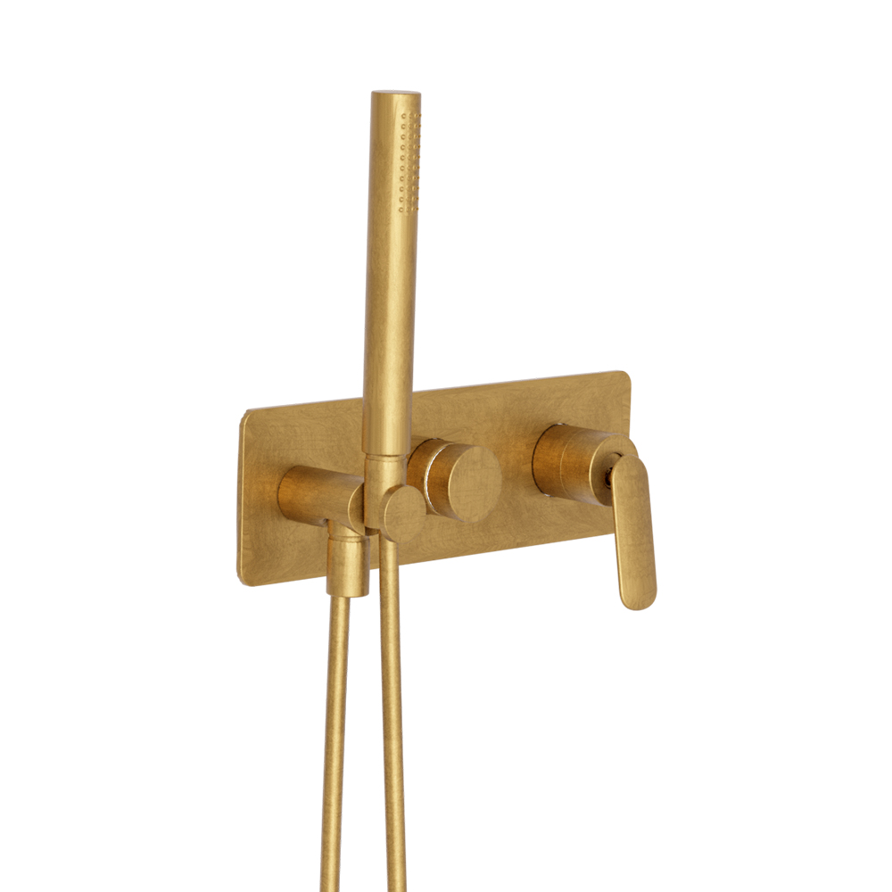 FACADE DOUCHE/BAIN DOUCHE 2 SORTIES OR BROSSÉ