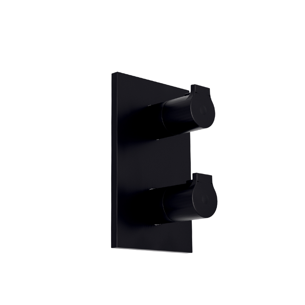 $ FACADE DOUCHE OMEGA 2 SORTIES BLACKMAT