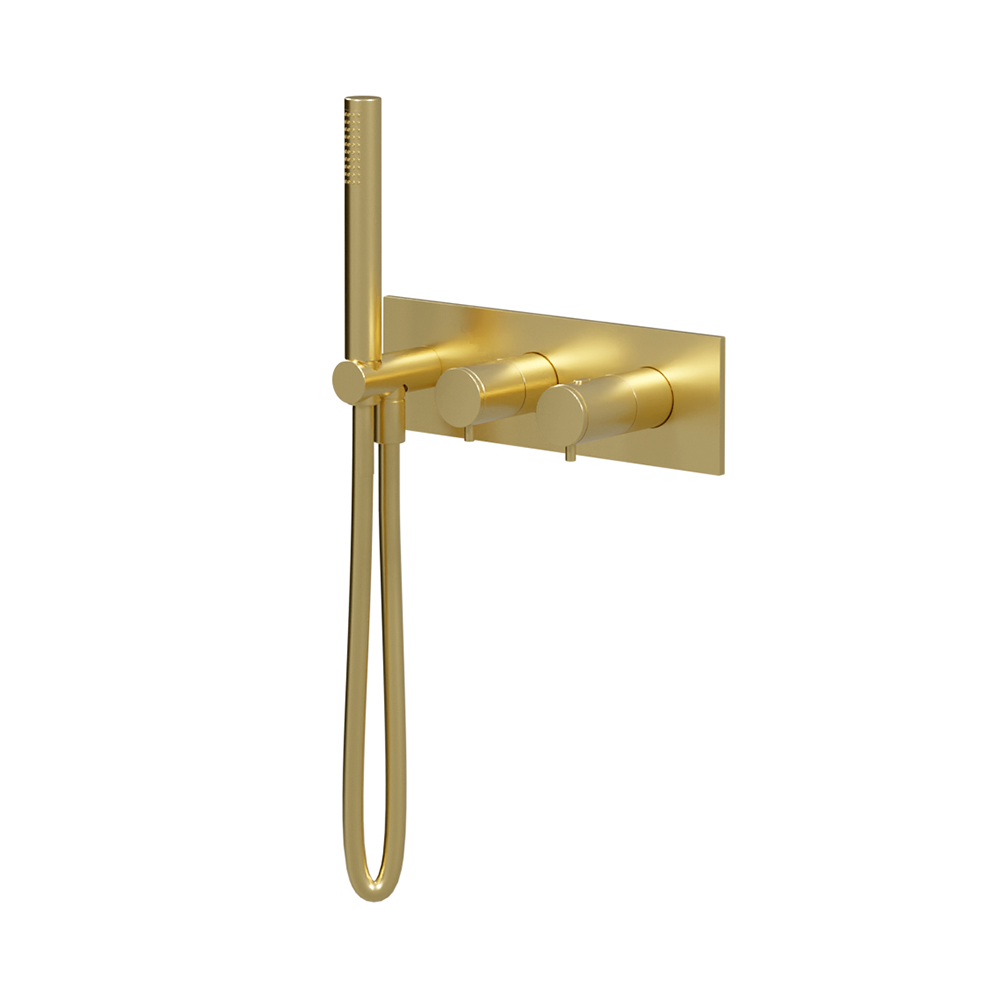 FACADE DOUCHE THERMOSTATIQUE 2 SORTIES OR BROSSE