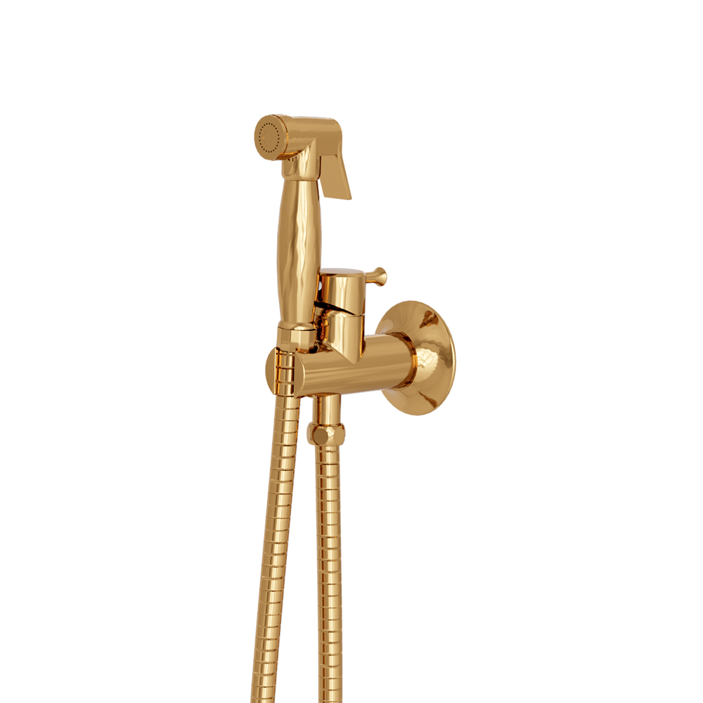 #KIT WC MITIGEUR RETRO AVEC FLEXIBLE ET DOUCHETTE A IMPULSION D***FIN