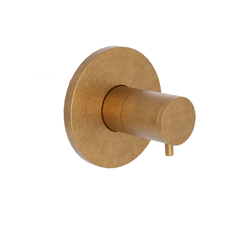 FACADE EXTERNE RONDE TRIVERDE POUR ROBINET D'ARRET OR BROSSE