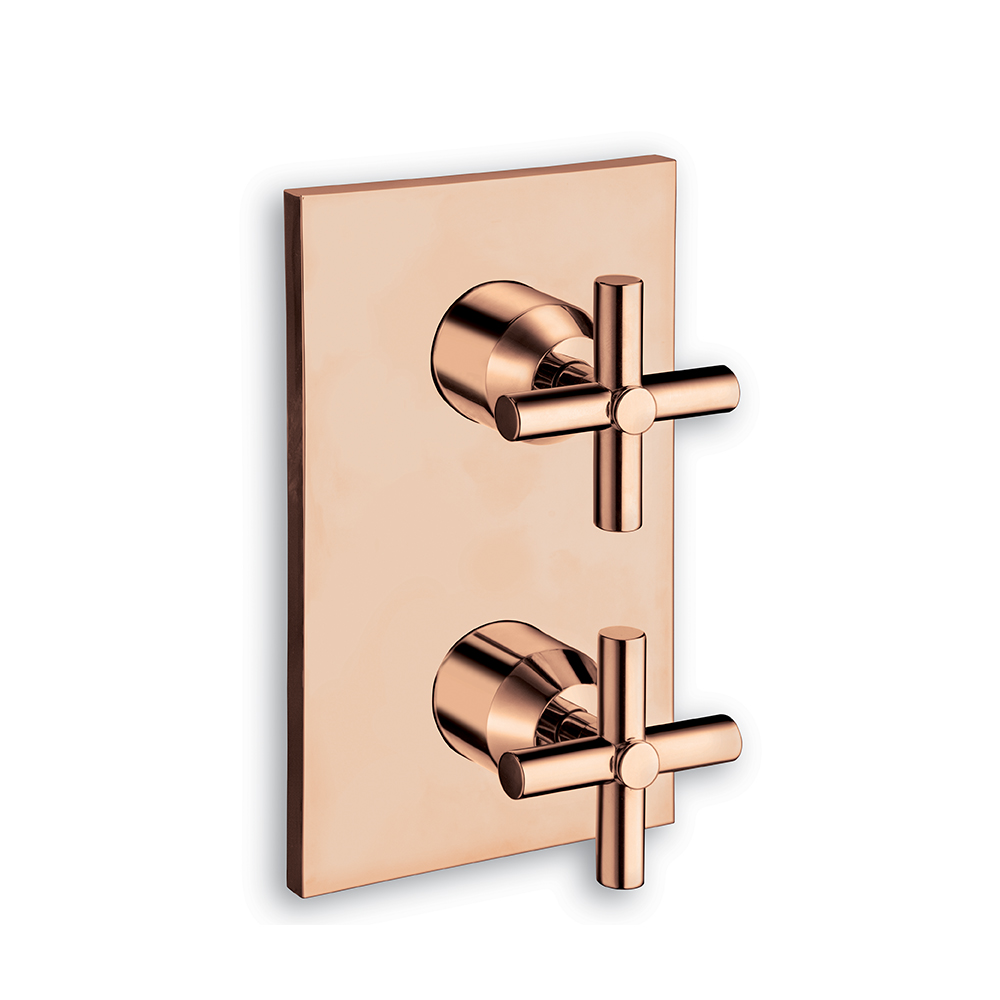 DOUCHE FACADE ENCAS EXECUTIVE THERMO 2 SORTIES OR ROSE