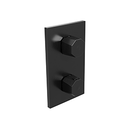 FAÇADE THERMOSTATIQUE ENCASTRÉE 2 SORTIES
