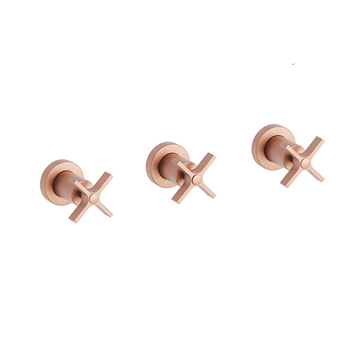 DOUCHE CROSS ROAD ENCASTRE MELANGEUR 2 SORTIES OR ROSE BROSSE